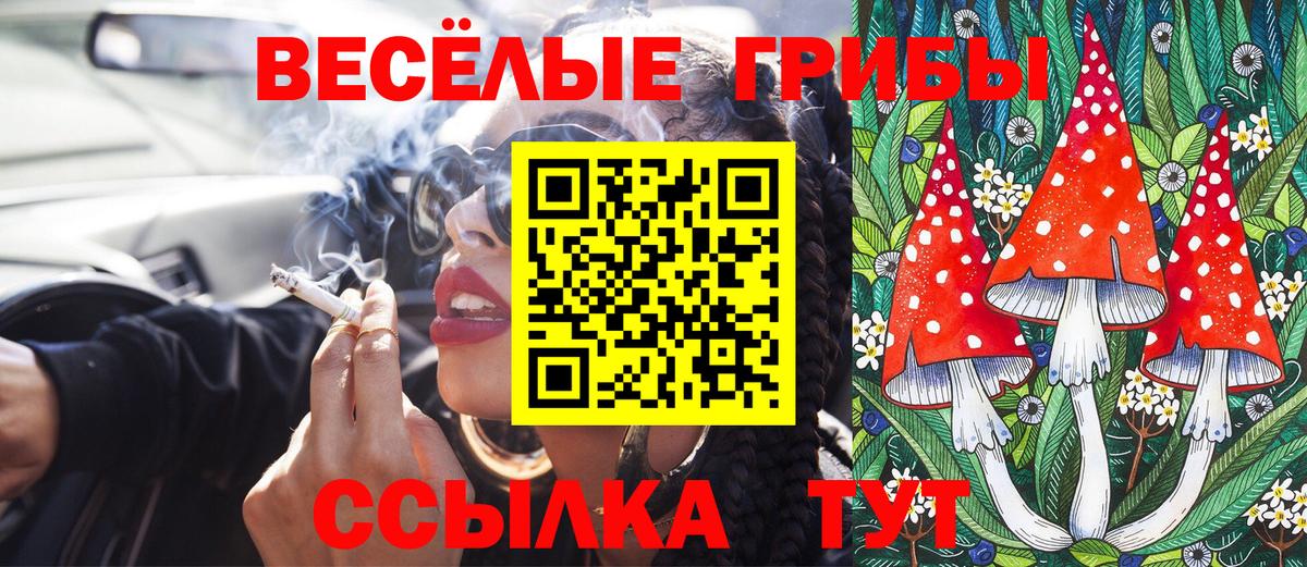 Псилоцибиновые грибы Cubensis  где продают наркотики  Сорочинск  Галлюциногенные грибы Psilocybine cubensis  Вход с VPN 